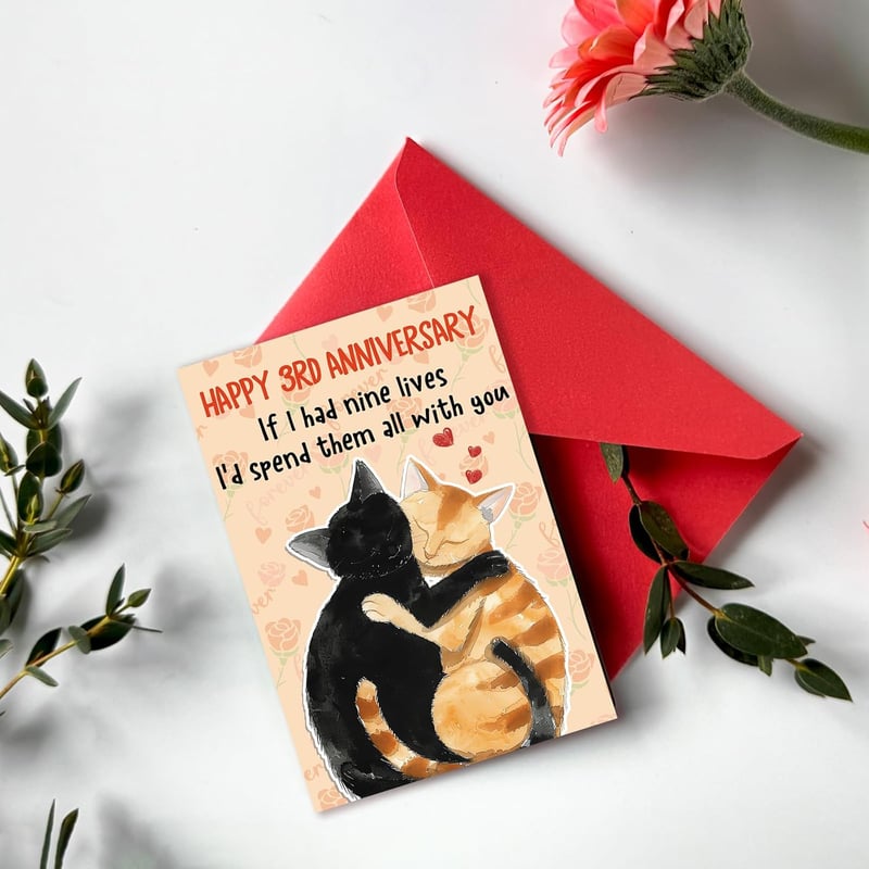 3rd Anniversary Funny Card for Couples