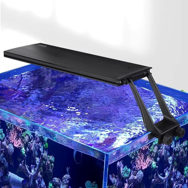 24/7 Adjustable LED Light for Saltwater Aquariums, 22W