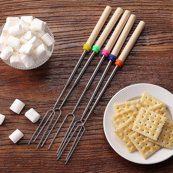 Extendable Stainless Steel Roasting Sticks - 32