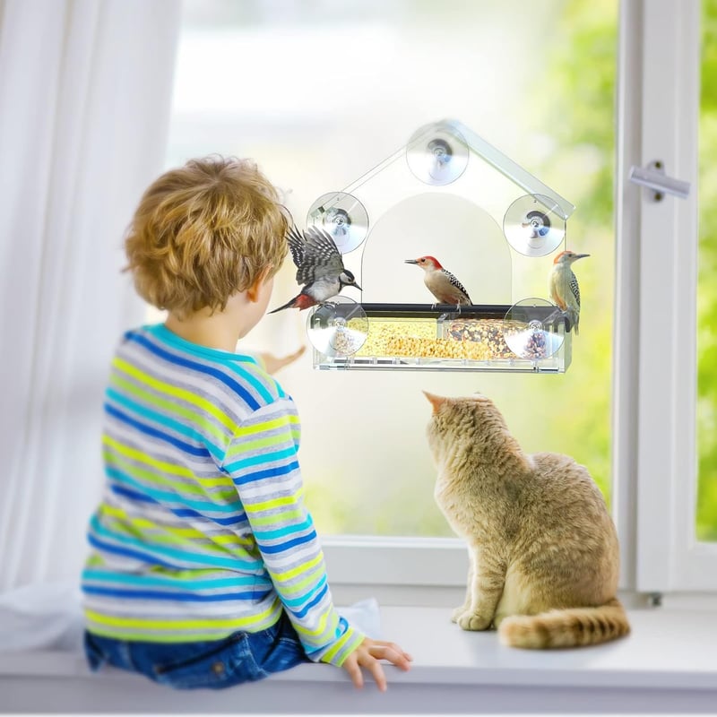 Acrylic Bird Feeder with Strong Suction Cups for Bird Watching