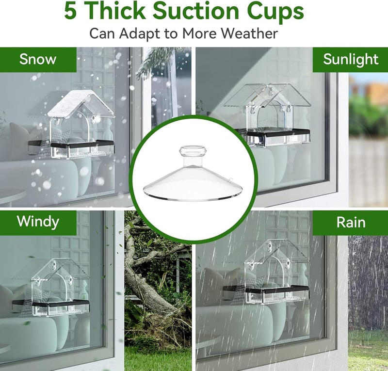 Acrylic Bird Feeder with Strong Suction Cups for Bird Watching