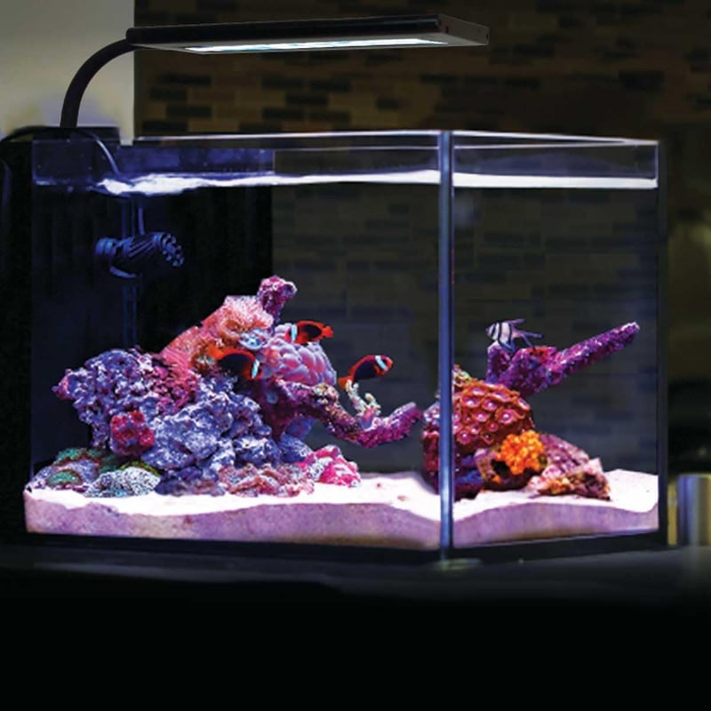 16W Nano LED Reef Light for Saltwater Aquariums with Dimming Features