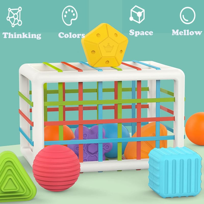 Baby Sensory Developmental Toys for 12-18 Months, Multicolor