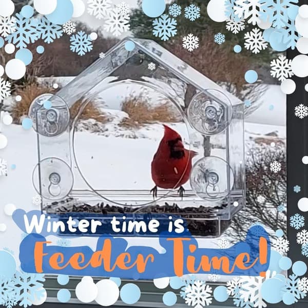 Transparent Acrylic Window Bird Feeder - Easy to Clean, Enhanced Grip