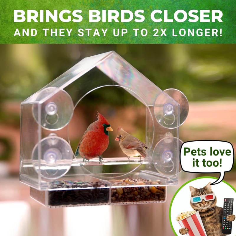 Transparent Acrylic Window Bird Feeder - Easy to Clean, Enhanced Grip