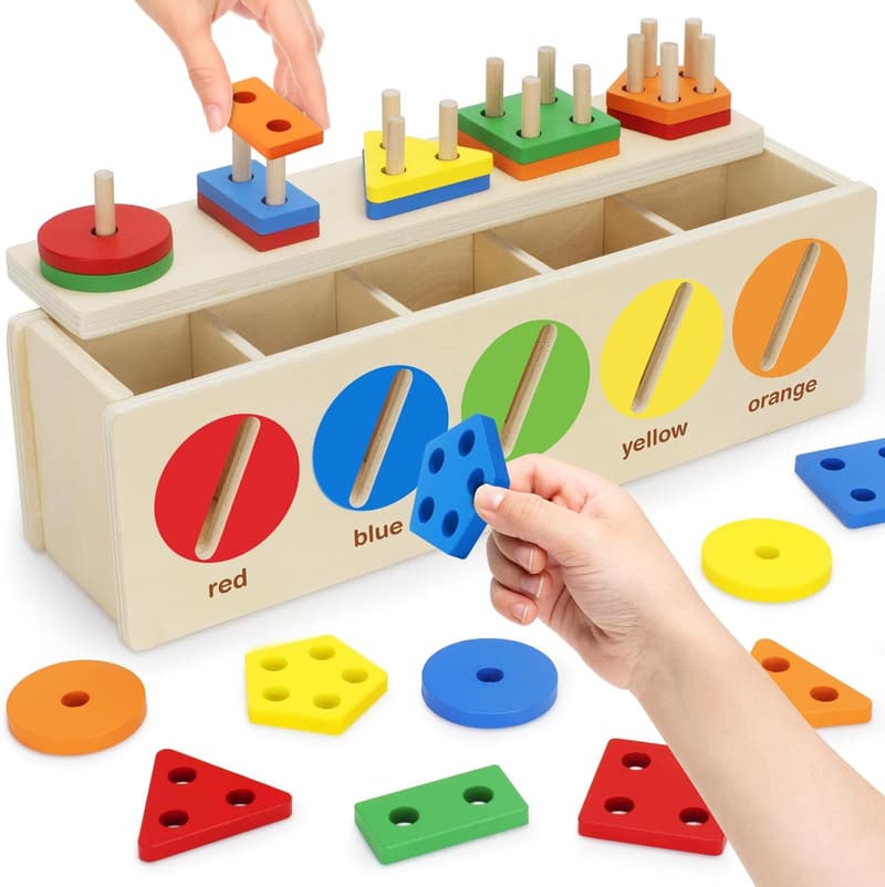 Montessori Wooden Color & Shape Sorting Toy for Toddlers