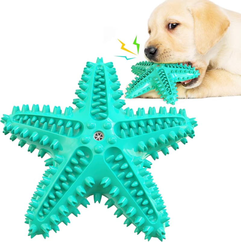 Durable Squeaky Starfish Dog Toy for Aggressive Chewers