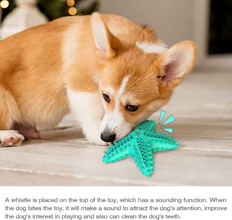 Durable Squeaky Starfish Dog Toy for Aggressive Chewers