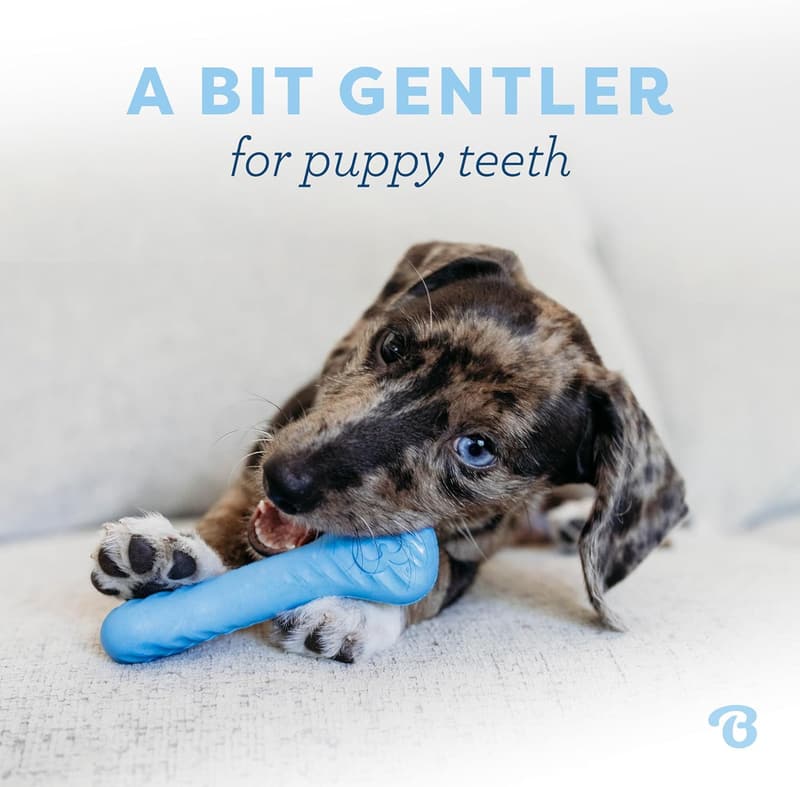 Benebone Tiny Rubber Bone & Wishbone Dog Chew Toys