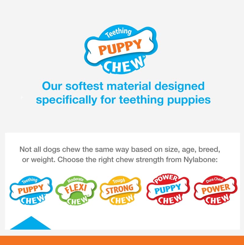 Puppy Teething Toy - Peanut Butter Flavor Freezer Bone