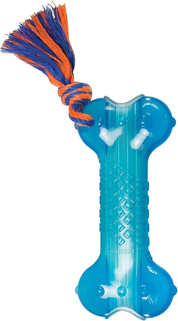 Dog Chew Toy - Treat-Dispensing Orka Bone in Royal Blue