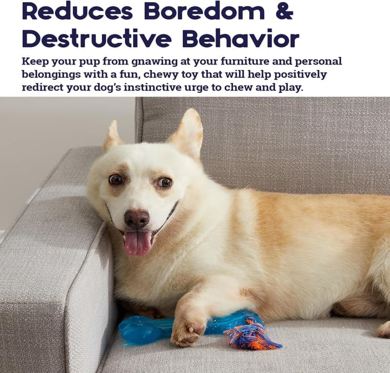 Dog Chew Toy - Treat-Dispensing Orka Bone in Royal Blue