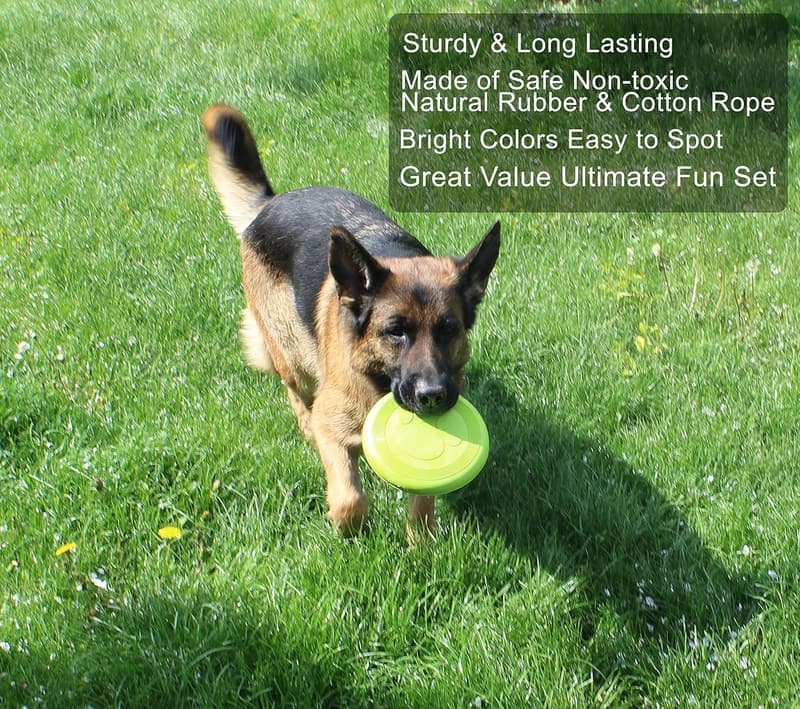 Natural Rubber Chew Toy Set for Small to Medium Dogs