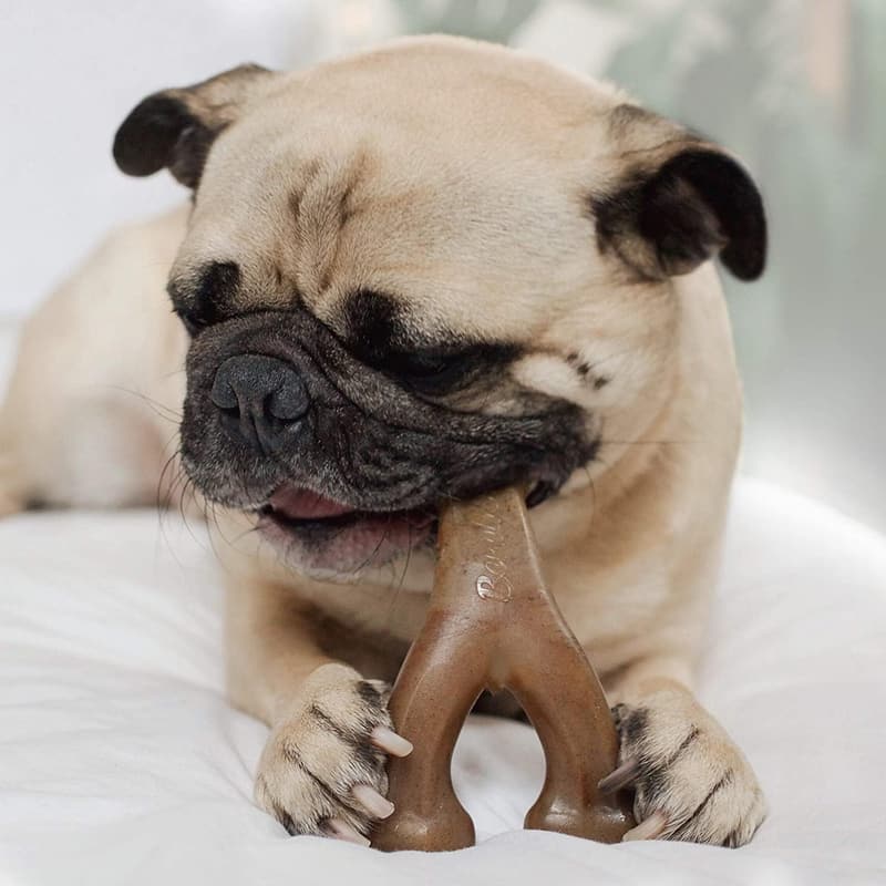 Durable Wishbone Dog Chew Toy - Small, Real Bacon Flavor