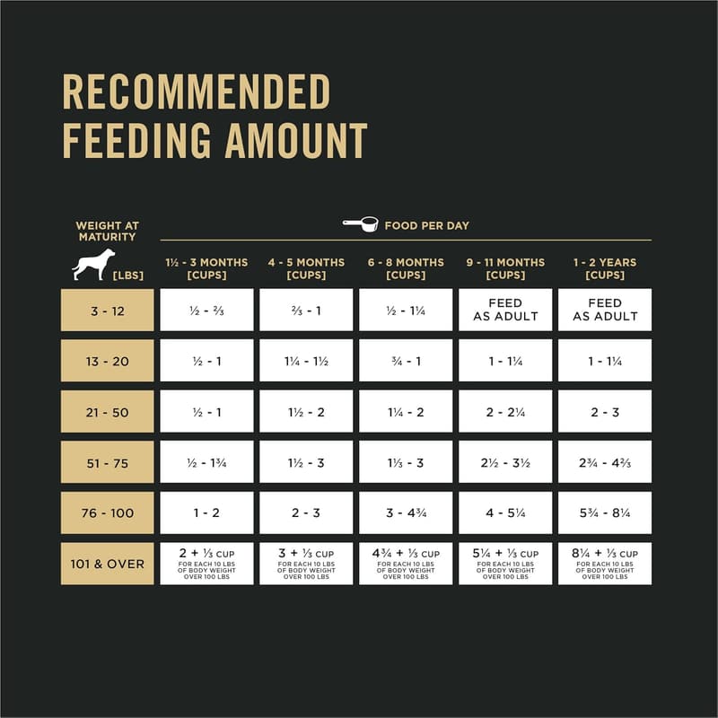 High-Protein Chicken & Rice Puppy Food - 34 lb. Bag