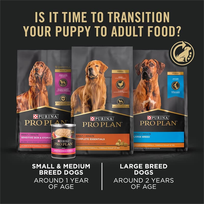 High-Protein Chicken & Rice Puppy Food - 34 lb. Bag