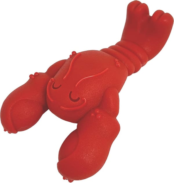 Filet Mignon Flavor Power Chew Toy for Small Dogs