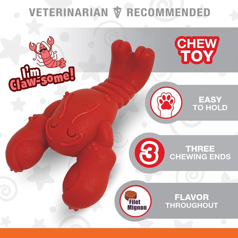 Filet Mignon Flavor Power Chew Toy for Small Dogs