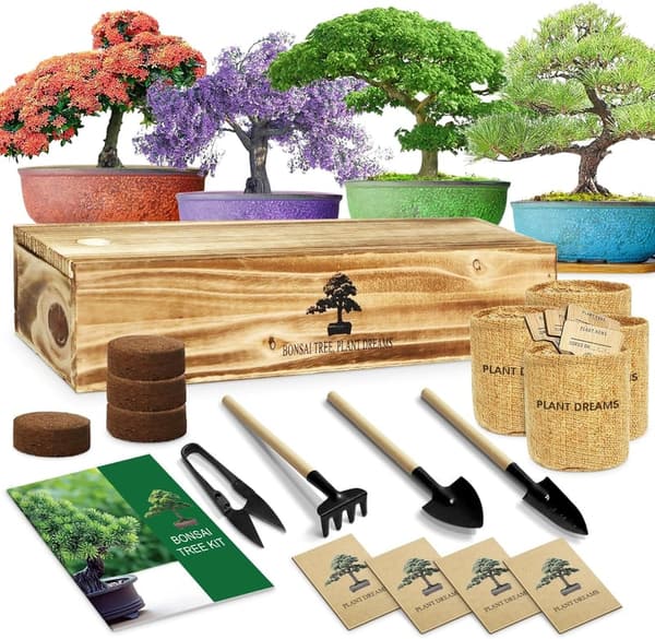 Bonsai Starter Kit with Tools for Unique DIY Gardening Gifts