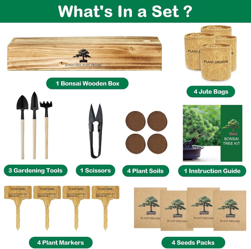 Bonsai Starter Kit with Tools for Unique DIY Gardening Gifts