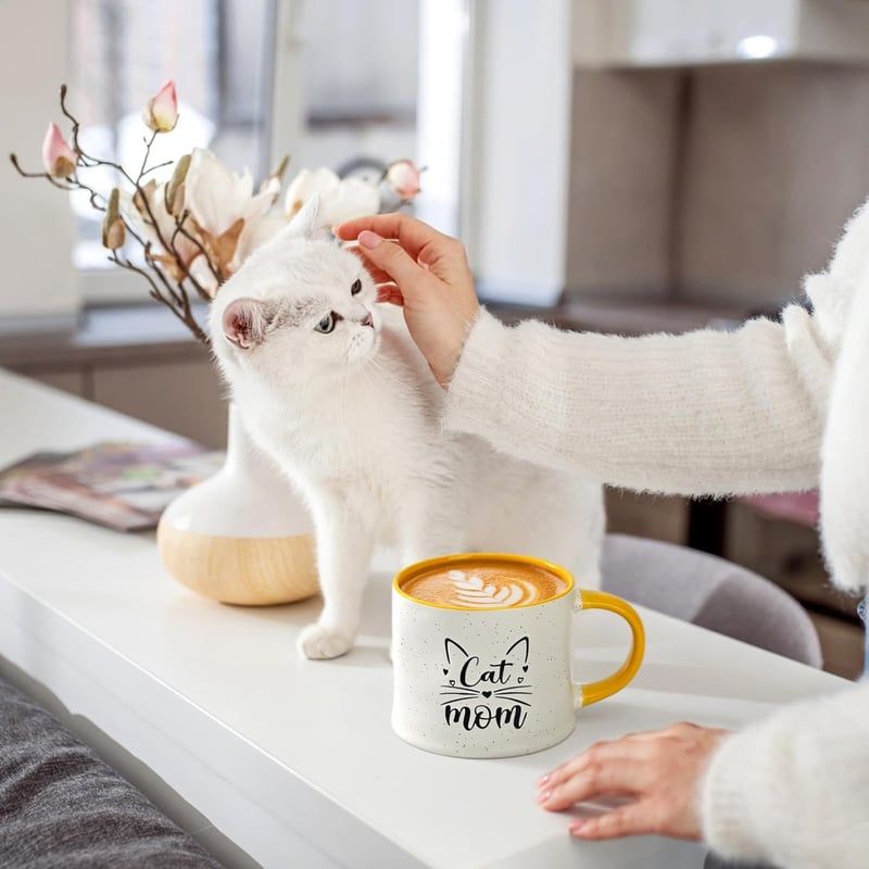 Cat Mom Mother's Day Gift - 14 oz Cat Lover Mug with Toys