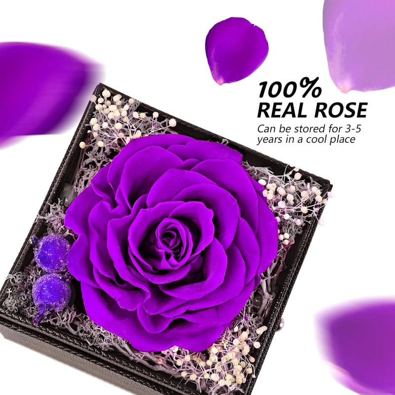 Eternal Rose Necklace Gift for Women - Birthday & Anniversary