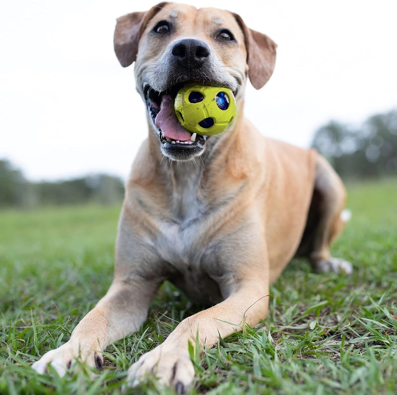 Interactive LED Bash Ball for Medium/Large Dogs - Green