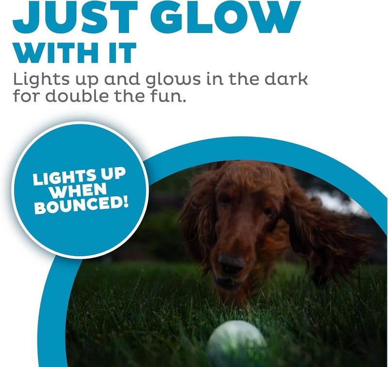 Glow-in-the-Dark LED Strobe Ball Dog Toy