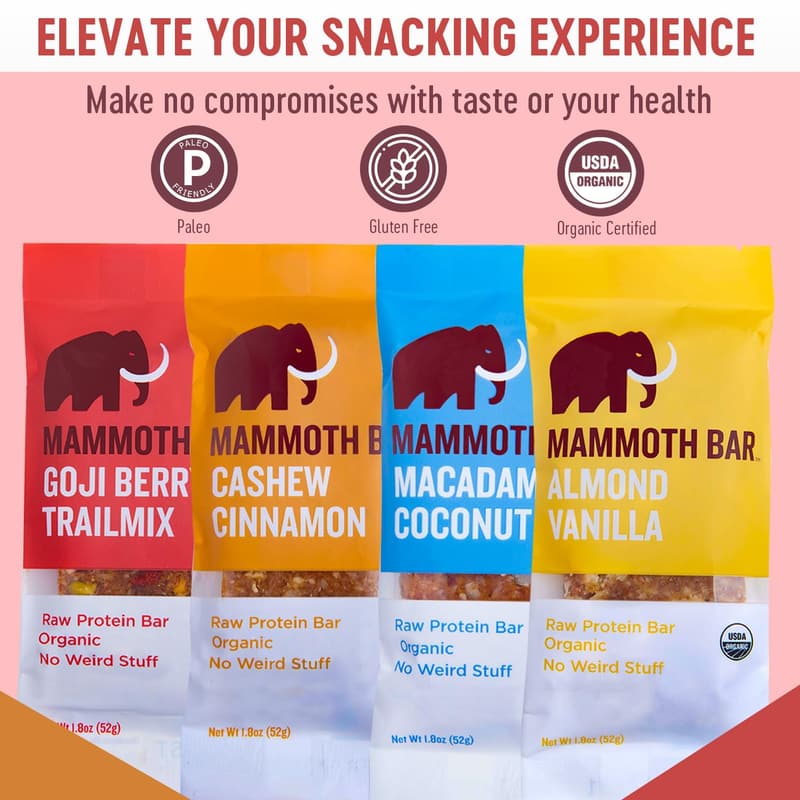 Organic Protein Bars Variety Pack – 10 Paleo, Gluten-Free Bars