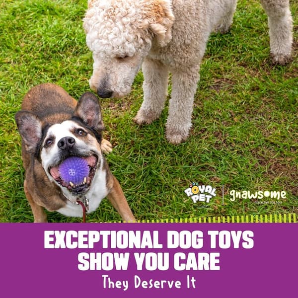 Medium Spiky Squeak Dog Toy - Promotes Dental Health