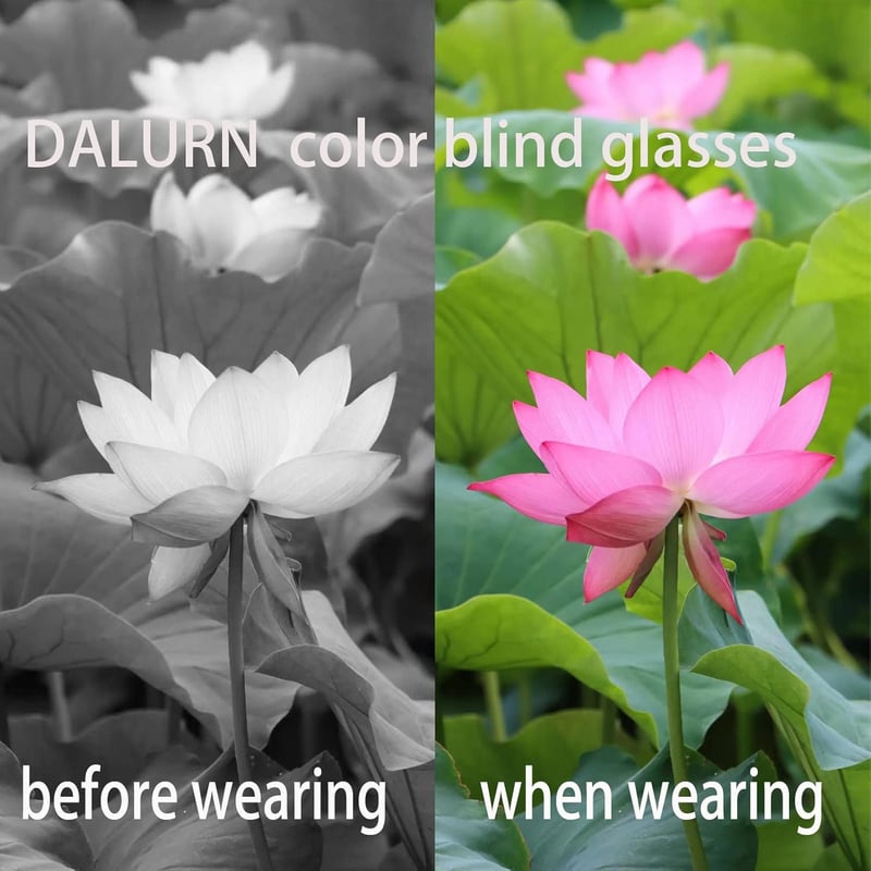 Colorblind Glasses for Men - Enhance Color Perception