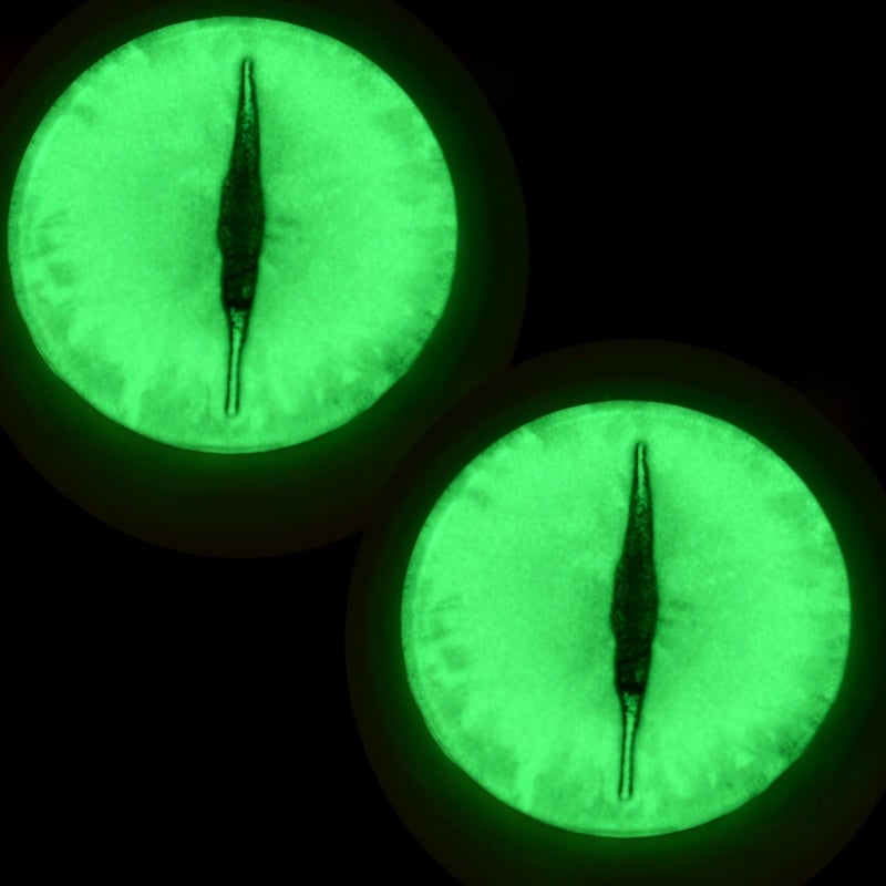Glow-in-the-Dark Dragon Eyes - 30mm Glass Pair with Adhesive