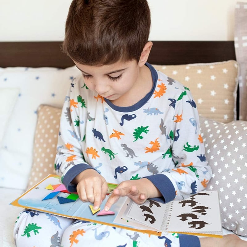 Magnetic Tangram Puzzle for Road Trips - IQ Challenge Game
