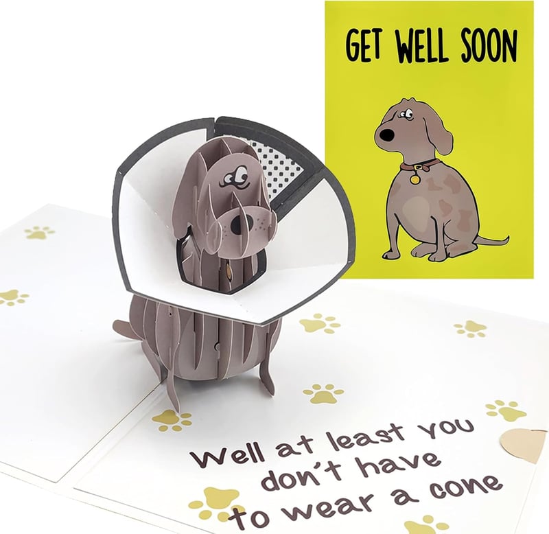 Humorous Get Well Soon Card, 3D Pug Surgery Recovery