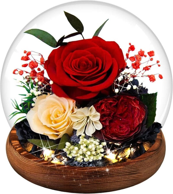 Preserved Red Rose in Glass Dome - Eternal Gift for Women
