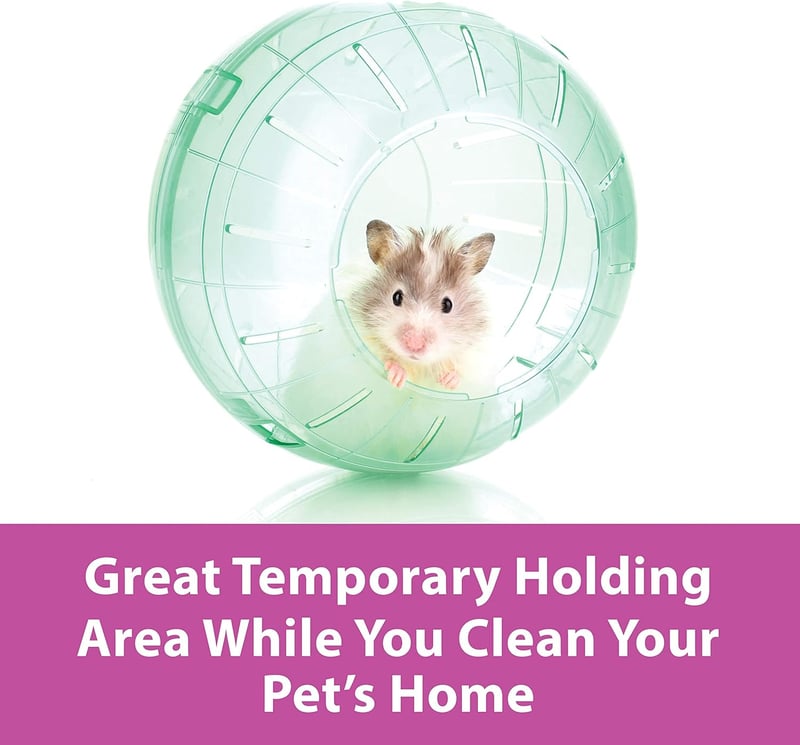 Hamster & Gerbil 7
