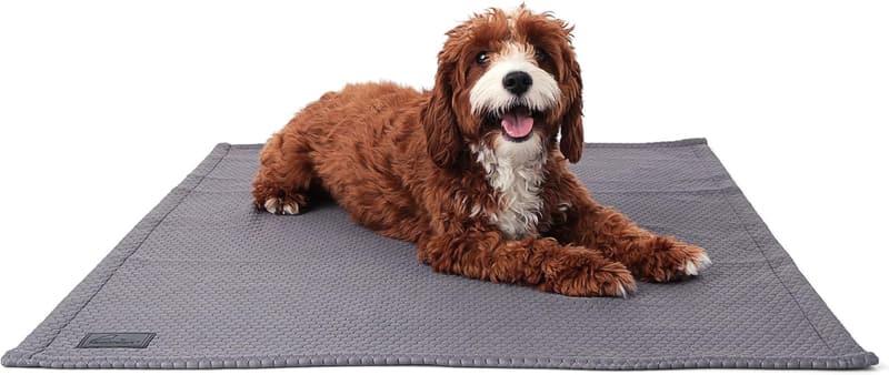 Waterproof Washable Cooling Blanket for Dogs & Cats, 40 x 30 in Grey
