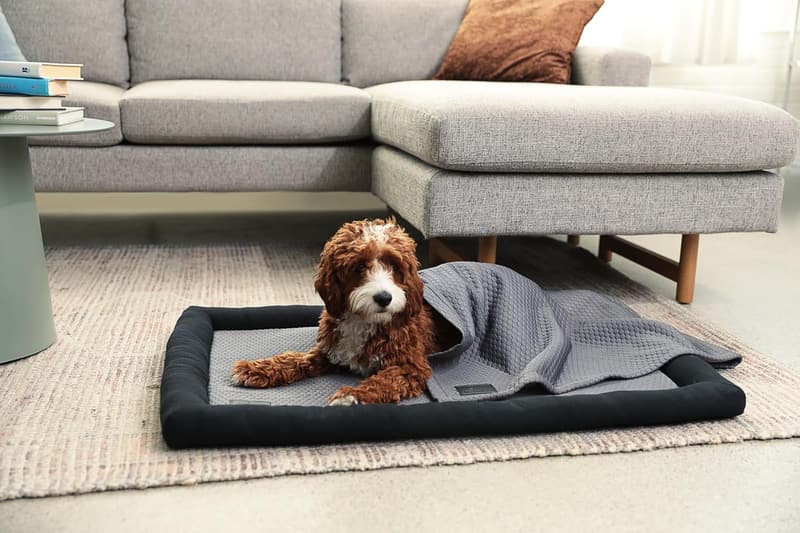 Waterproof Washable Cooling Blanket for Dogs & Cats, 40 x 30 in Grey
