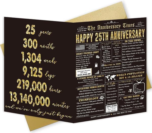 25th Anniversary Card - Funny Gifts for Couples