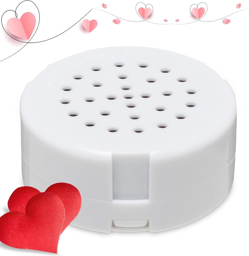 Custom Voice Recorder for Plush Toys - 60-Second Multi-Message