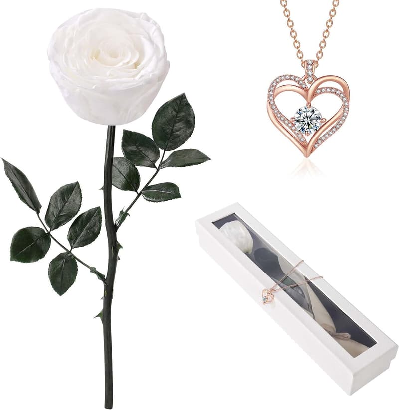Eternal Red Rose with Necklace for Women - Birthday & Anniversary Gift