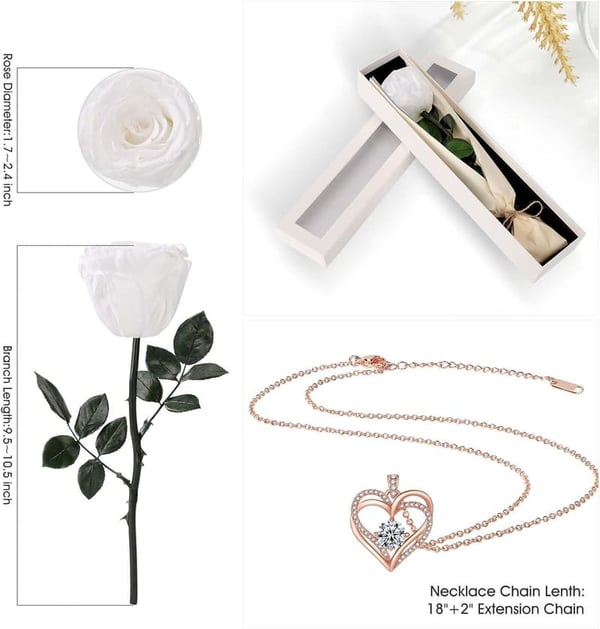 Eternal Red Rose with Necklace for Women - Birthday & Anniversary Gift