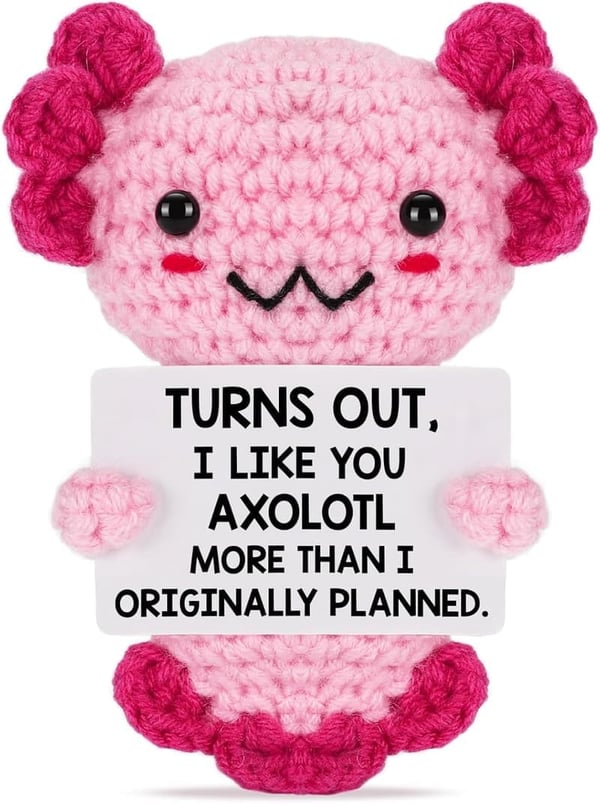 Valentine's Day Mini Crochet Axolotl Gift for Couples