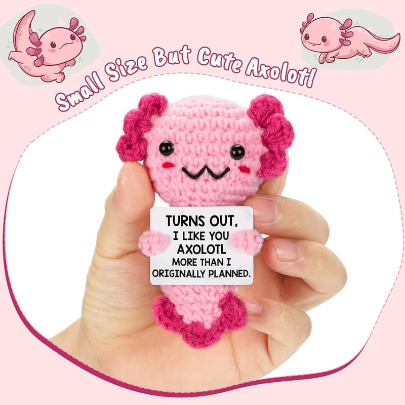 Valentine's Day Mini Crochet Axolotl Gift for Couples