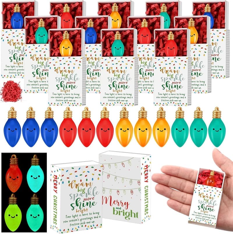 Inspirational Light Bulb Ornaments Gift Set for Coworkers