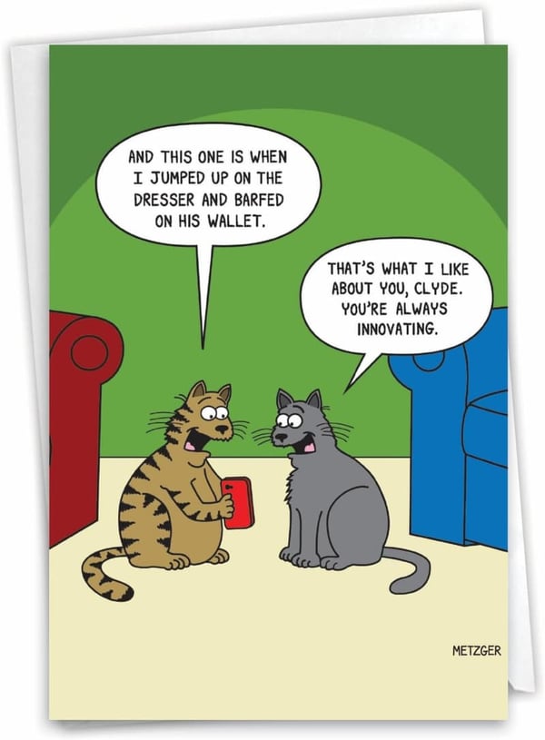 Funny Cat Humor Greeting Card with Envelope - All Occasions