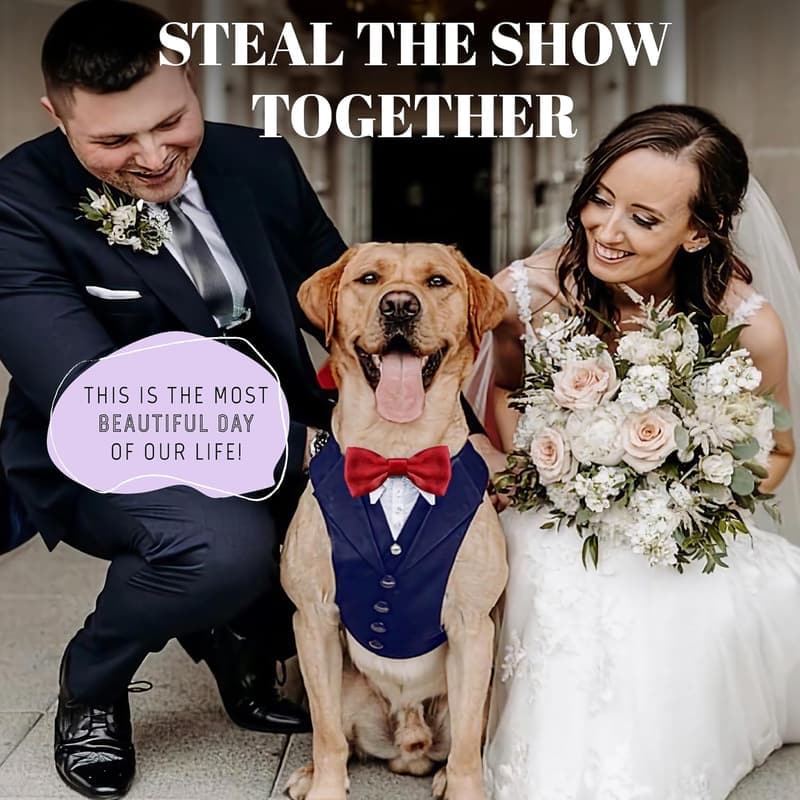 Dog Tuxedo Suit with Bowtie for Weddings and Parties