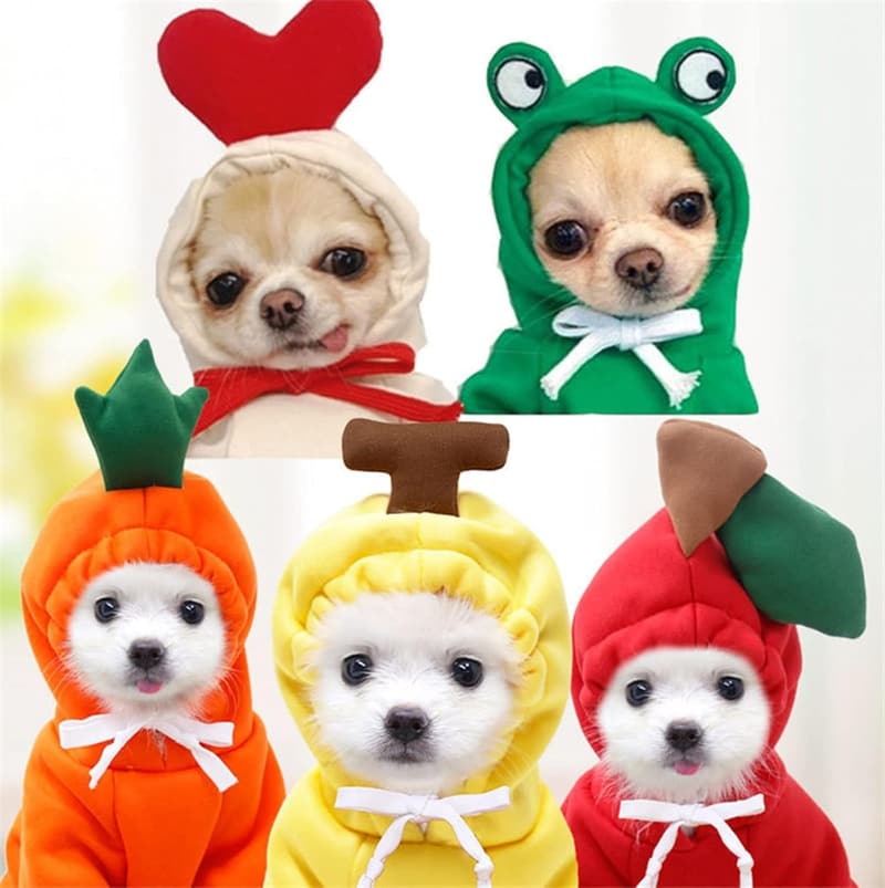 Winter Fleece Dog Hoodie Jacket for Small Breeds - Green, XL