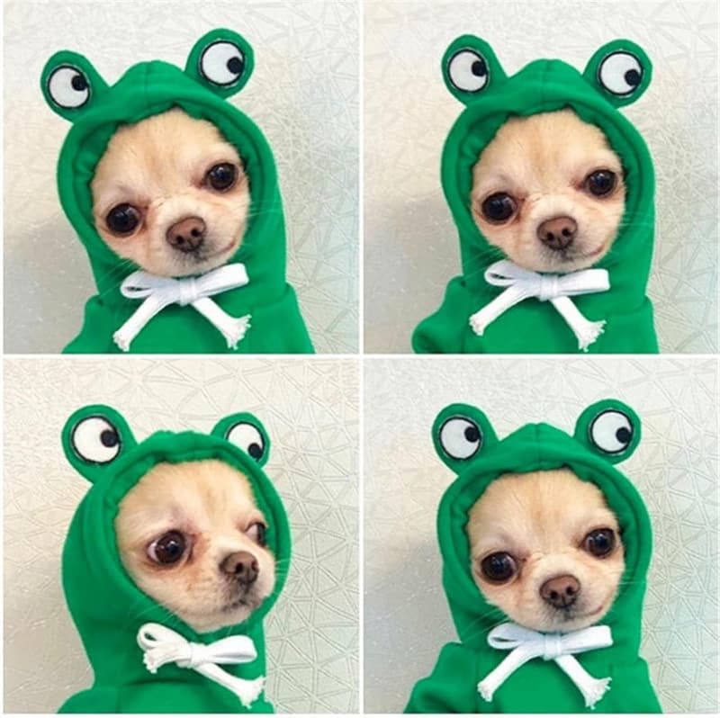 Winter Fleece Dog Hoodie Jacket for Small Breeds - Green, XL