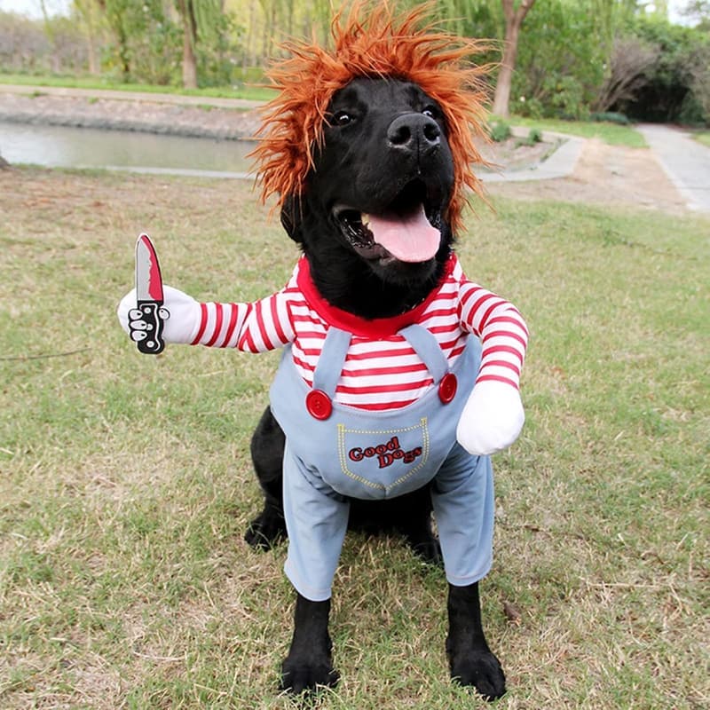 Halloween Dog Costume - Funny Deadly Doll Outfit for All Sizes